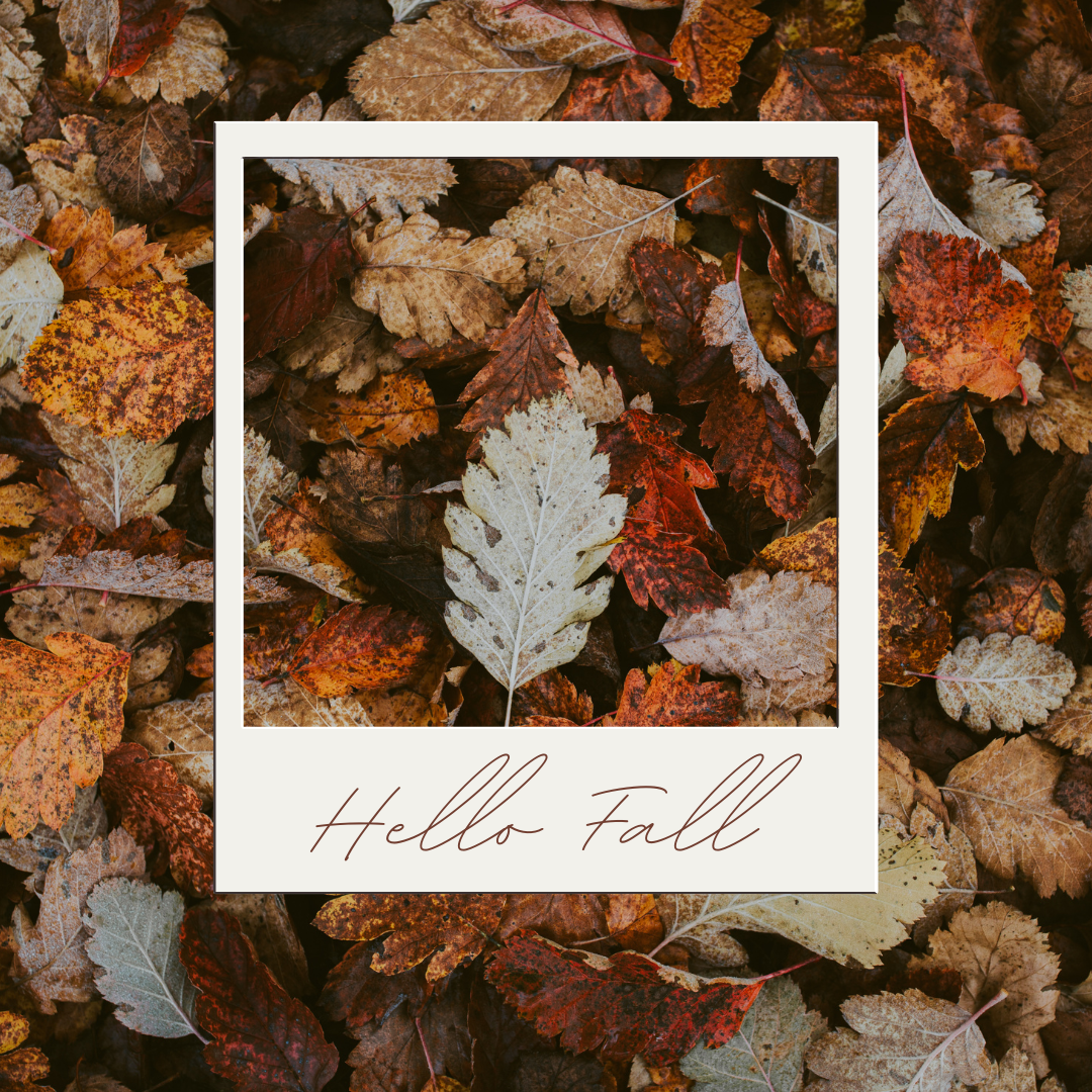 Fall Self-Care for Busy Moms: From School Drop-Offs to Steamy Showers